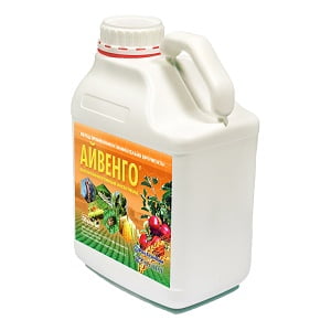 Айвенго, КЭ 5 л