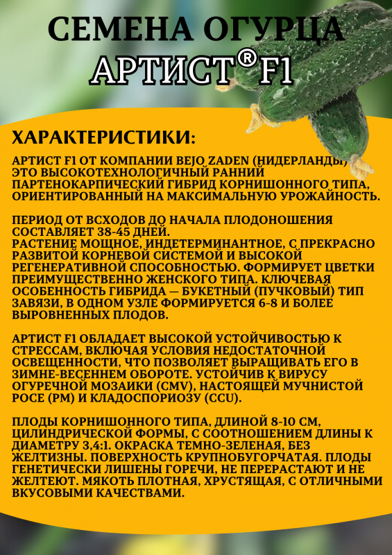 Артист F1 семена огурцов