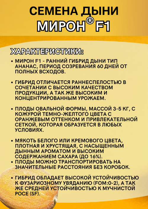 Мирон (Мейрон) F1 семена дыни