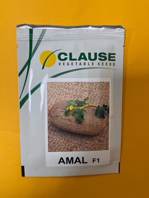Амал F1 1000 штук семена дыни