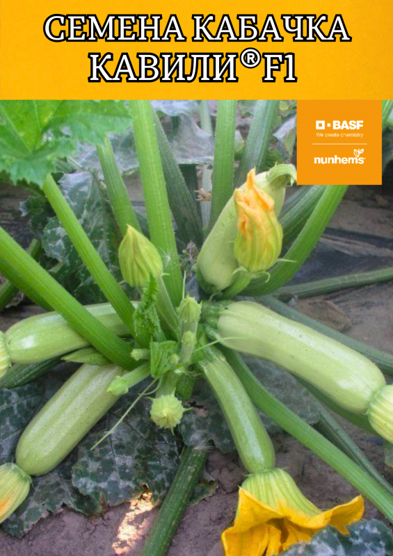 Кавили F1 семена кабачка