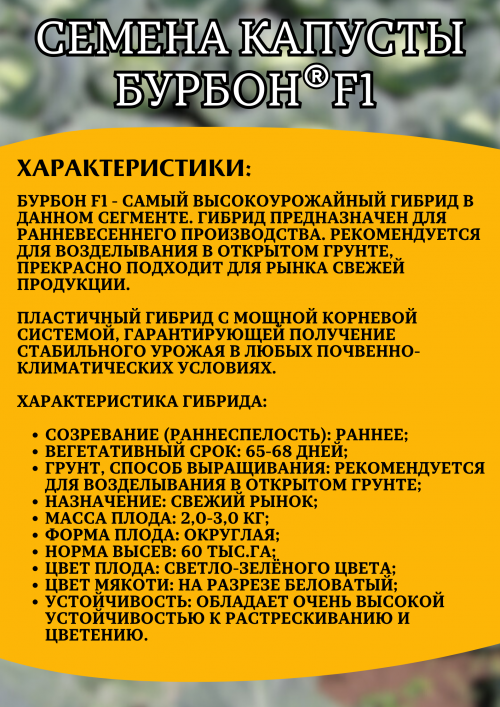 Бурбон  F1 2500 штук семена капусты белокочанной