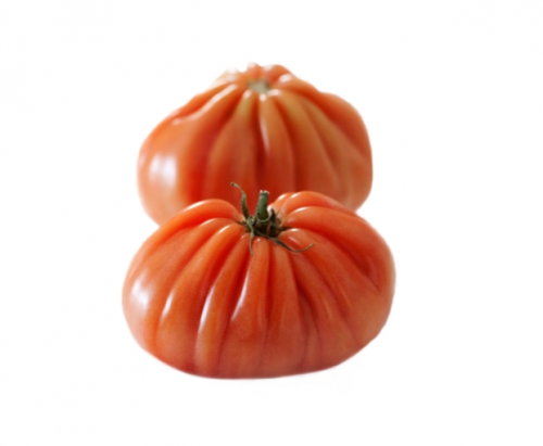 Ругантино F1 1000 штук семена томата