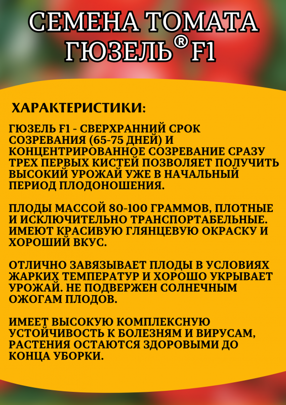 Гюзель F1 семена томата