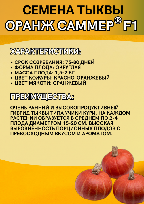 Оранж саммер F1 500 штук семена тыквы