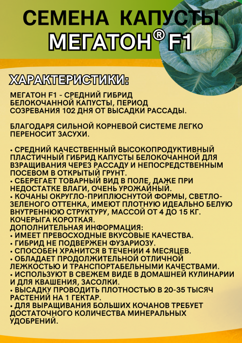 Мегатон F1 2500 штук семена капусты
