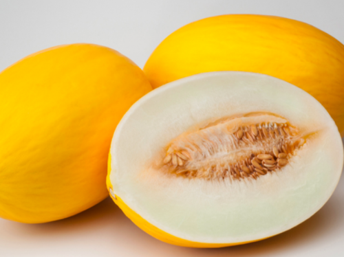 Наутило F1 500 штук семена дыни