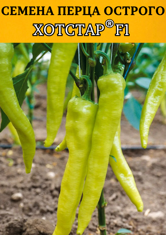 Хотстар F1 250 штук семена острого перца