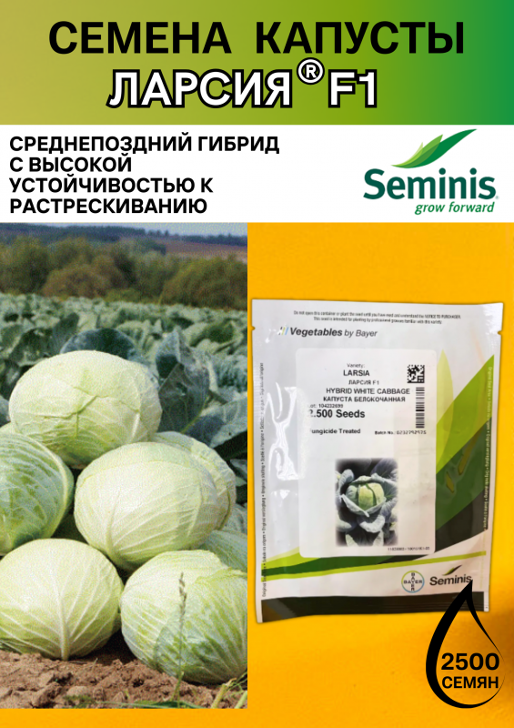 Ларсия F1 2500 штук семена капусты белокочанной