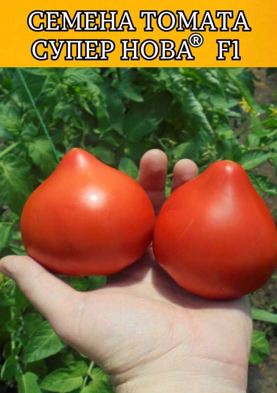 Супер Нова F1 (Примо Ред F1) 1000 штук семена томата