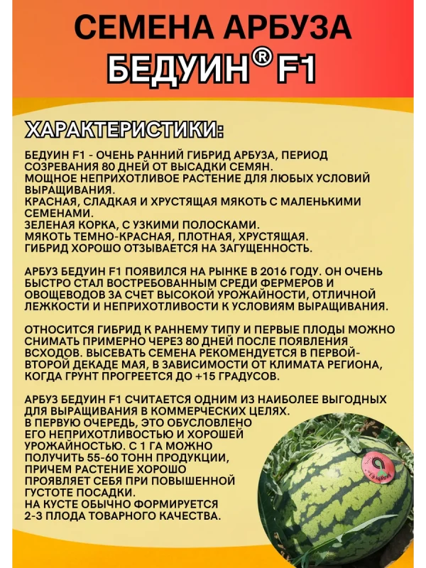 Бедуин F1 семена арбуза