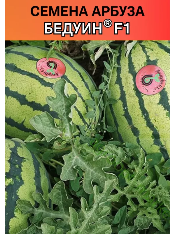 Бедуин F1 семена арбуза