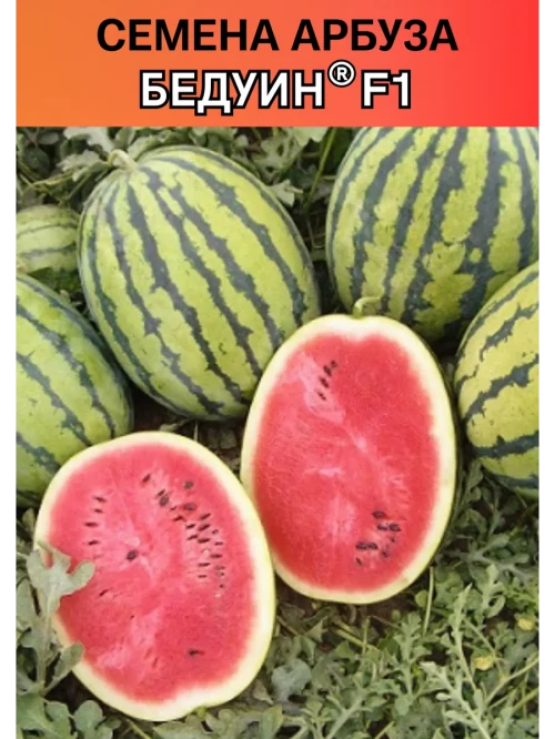 Бедуин F1 семена арбуза