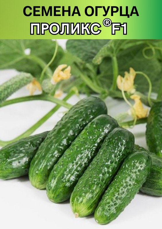 Проликс F1 1000 штук семена огурца