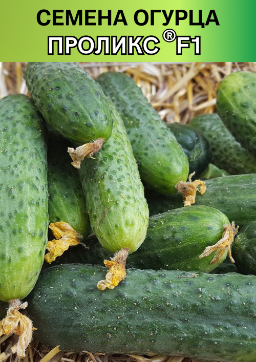 Проликс F1 1000 штук семена огурца