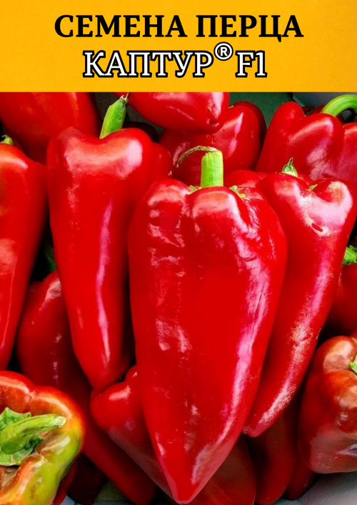 Каптур F1 семена сладкого перца КАПИЯ