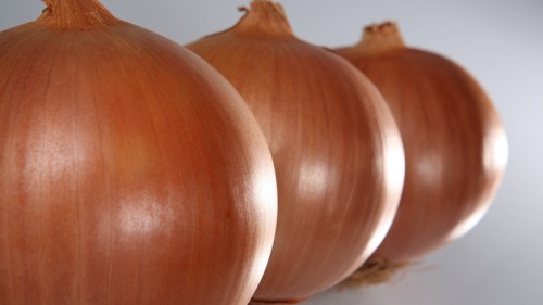 Утреро F1 1 000 000 штук семена лука