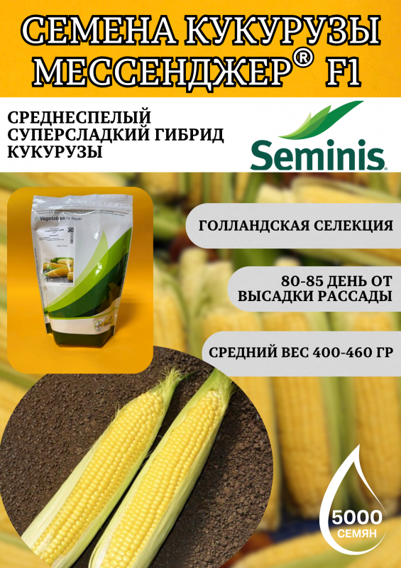 Мессенджер F1 семена сладкой кукурузы 5000 штук