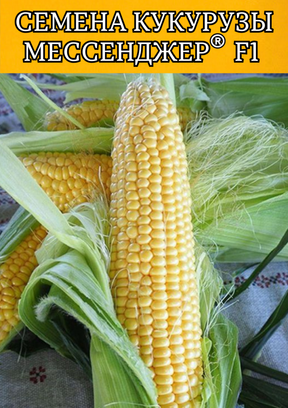 Мессенджер F1 семена сладкой кукурузы 5000 штук