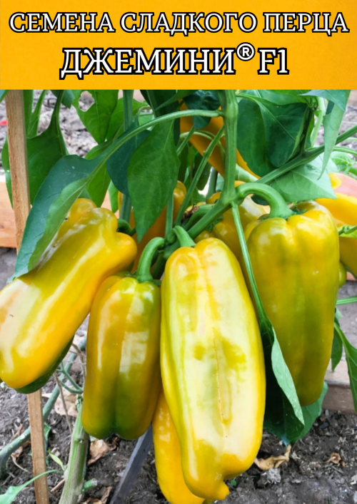 Джемини F1 семена перца сладкого