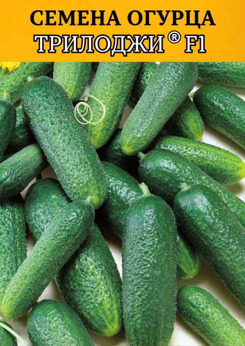 Трилоджи F1 семена огурца