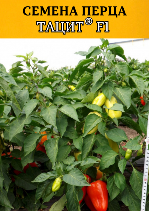 Тацит F1 семена сладкого перца
