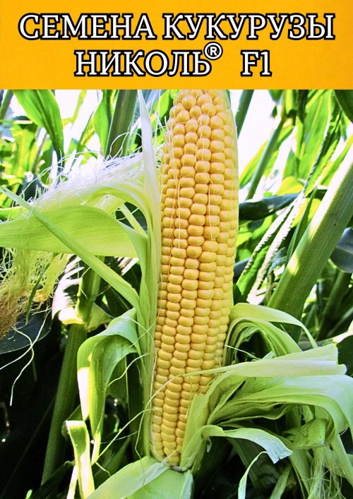 Николь F1 семена белой сахарной кукурузы