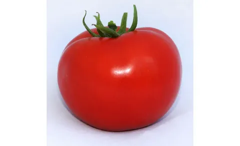 Хитомакс F1 семена томата