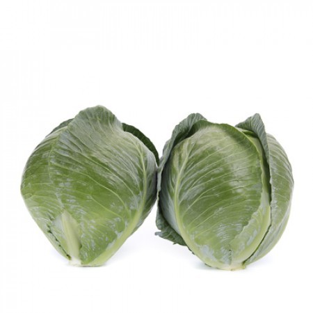 Конгама F1 семена белокочанной капусты