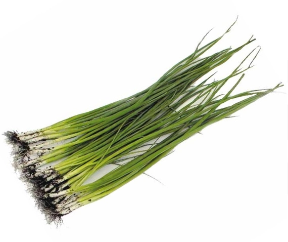 Байя Верде F1 семена лука на перо