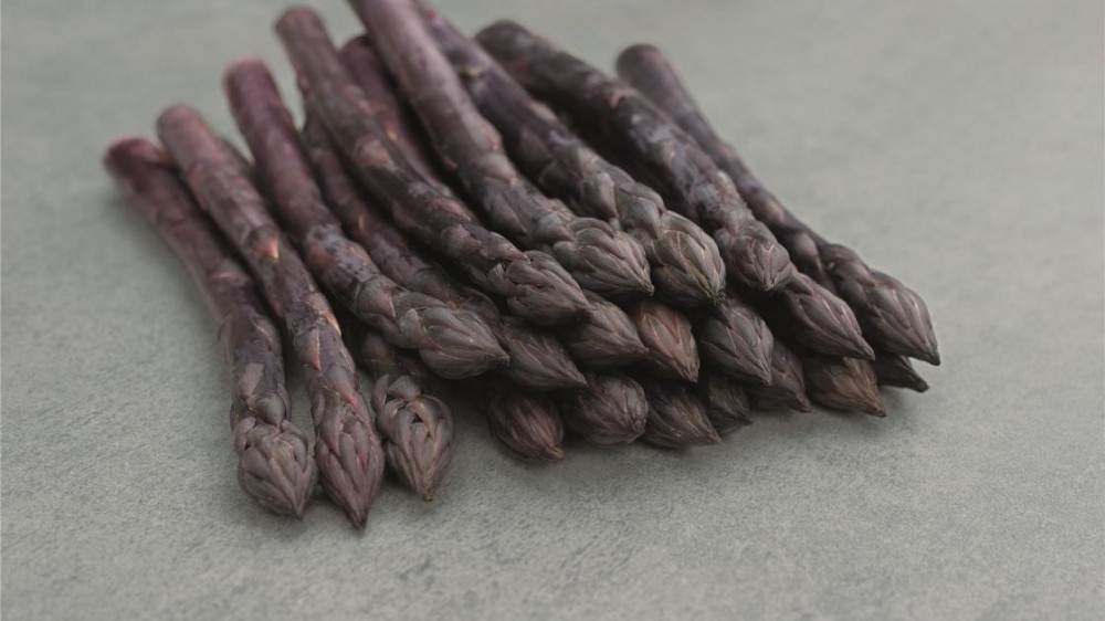 Эразмус F1 спаржа 500 семян