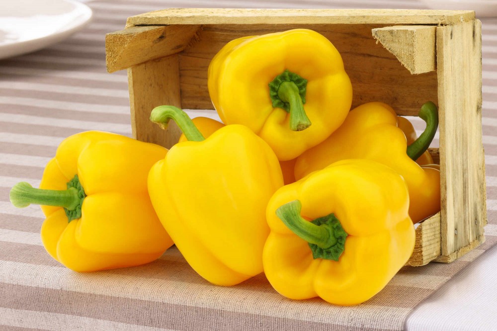 Абей F1 перец сладкий 500 семян