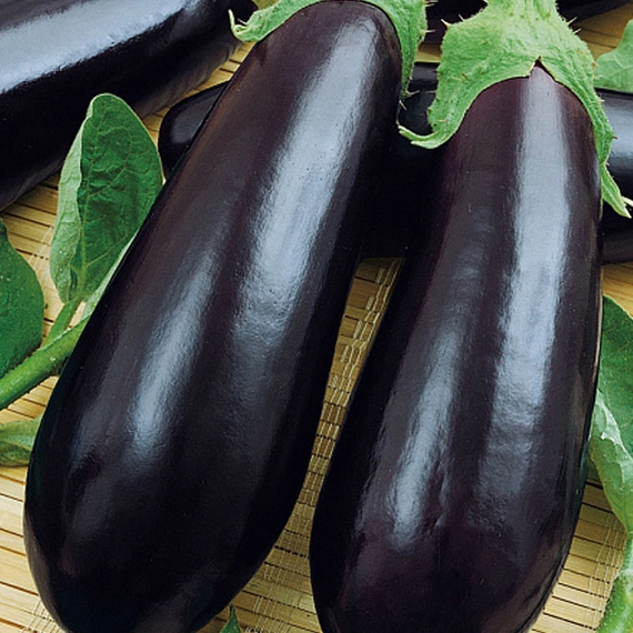 Навал F1 баклажан 1000 семян