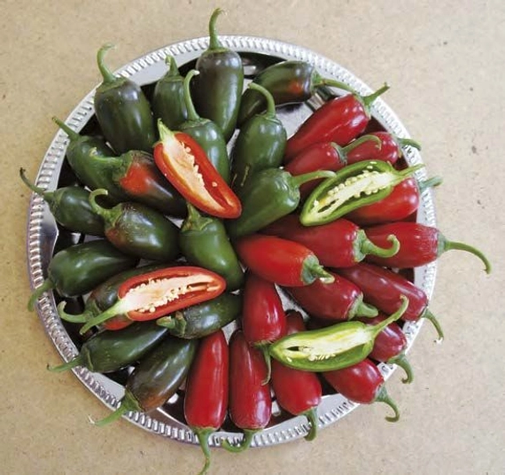 Сонора F1 перец острый 500 семян