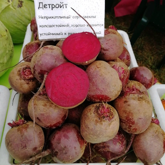 Детройт свекла 50 000 семян
