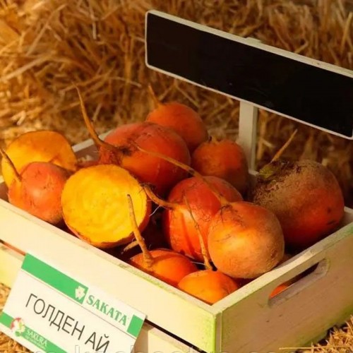 Голден Ай свекла 50 000 семян