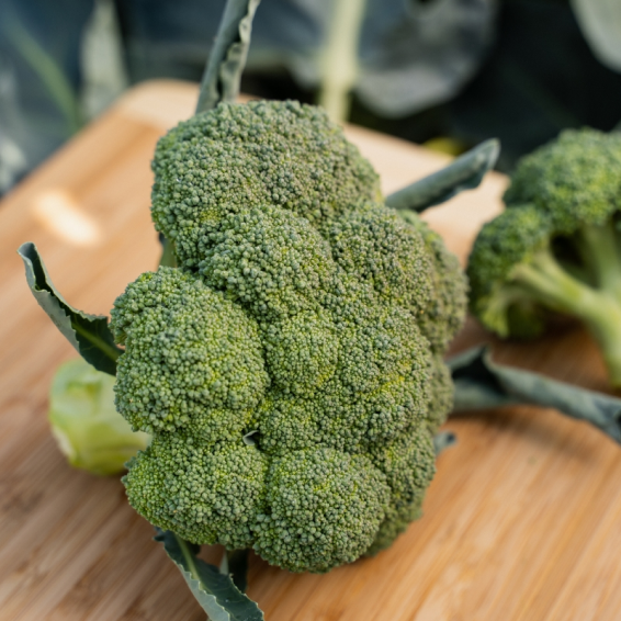 Батори F1 брокколи 2500 семян