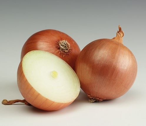 Визион F1 лук 250 000 семян